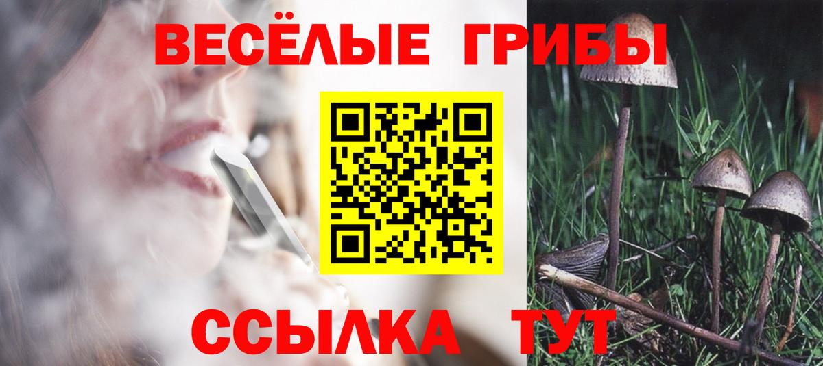 Псилоцибиновые грибы прущие грибы  Вход с VPN  Мелеуз 